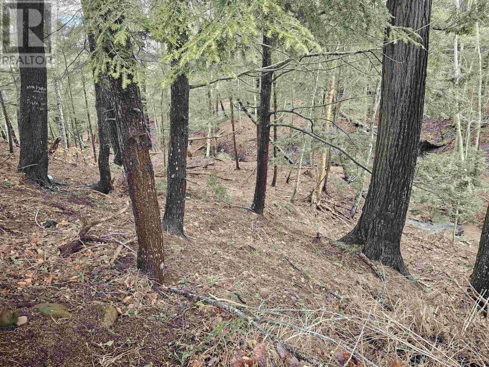 Property 4 of 9 of Lot 142 Alicia Boulevard