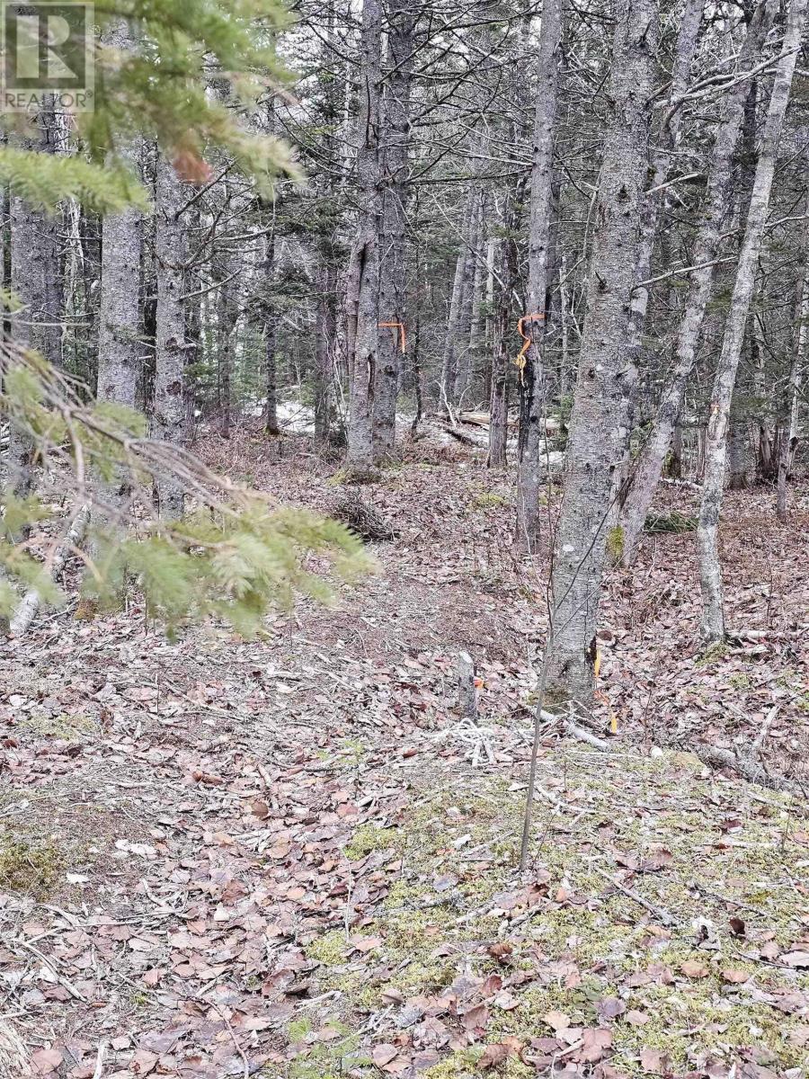 Property 7 of 15 of Lot Forest Glade Road