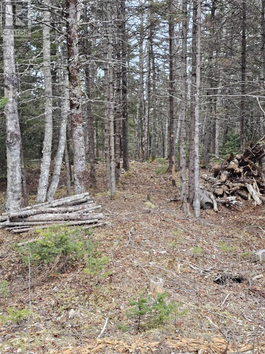 Property 9 of 15 of Lot Forest Glade Road