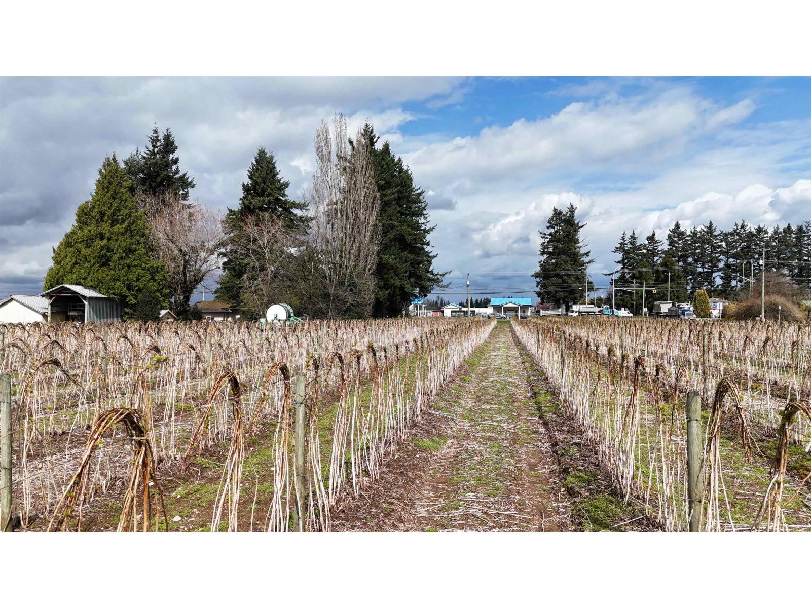 31964 HUNTINGDON ROAD, Abbotsford