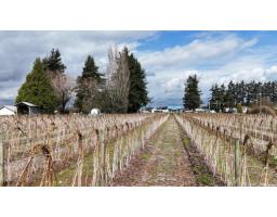 31964 Huntingdon Road, Abbotsford, BC V2T6B8 Photo 12