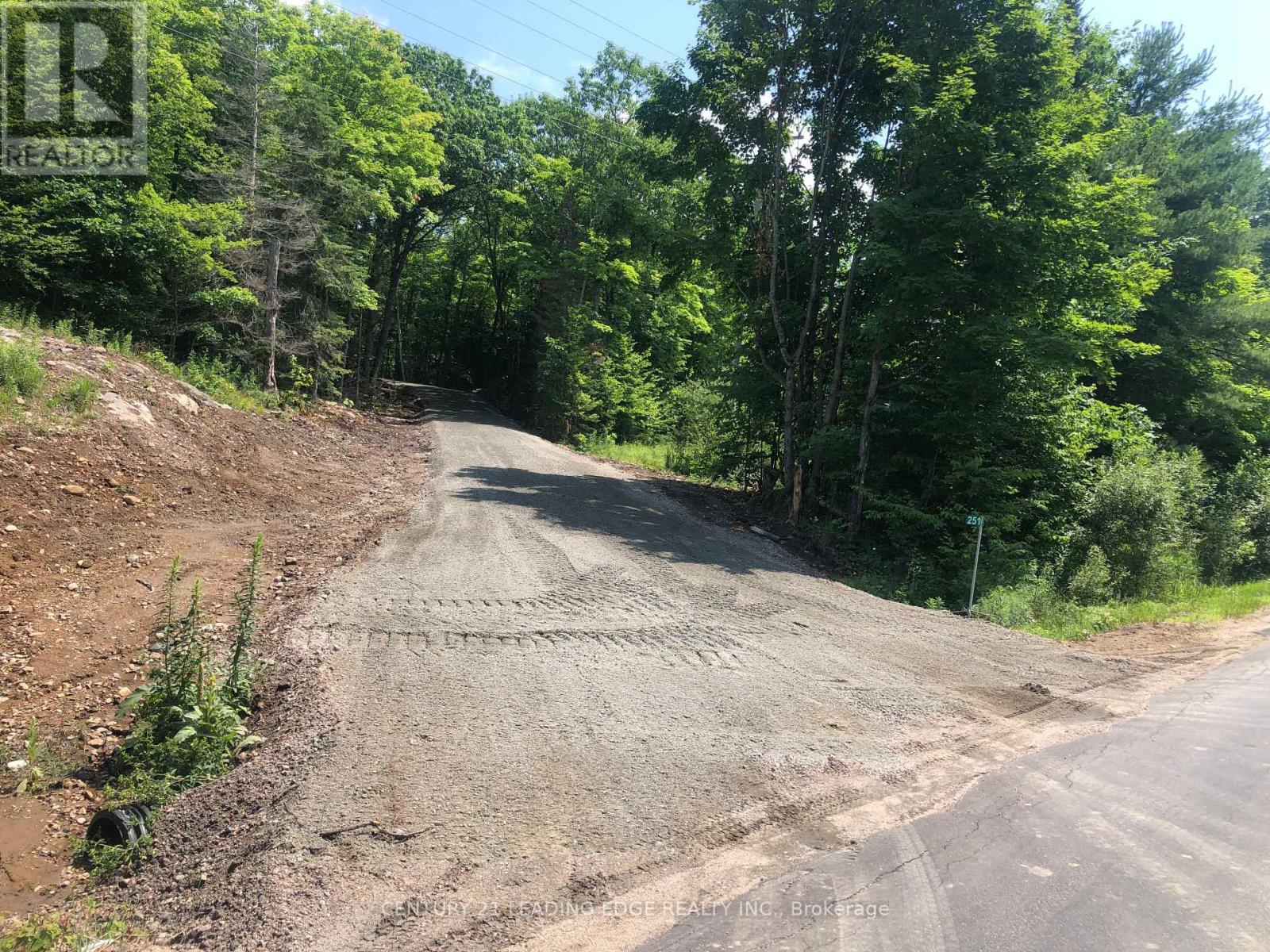 251 SHEBESHEKONG ROAD