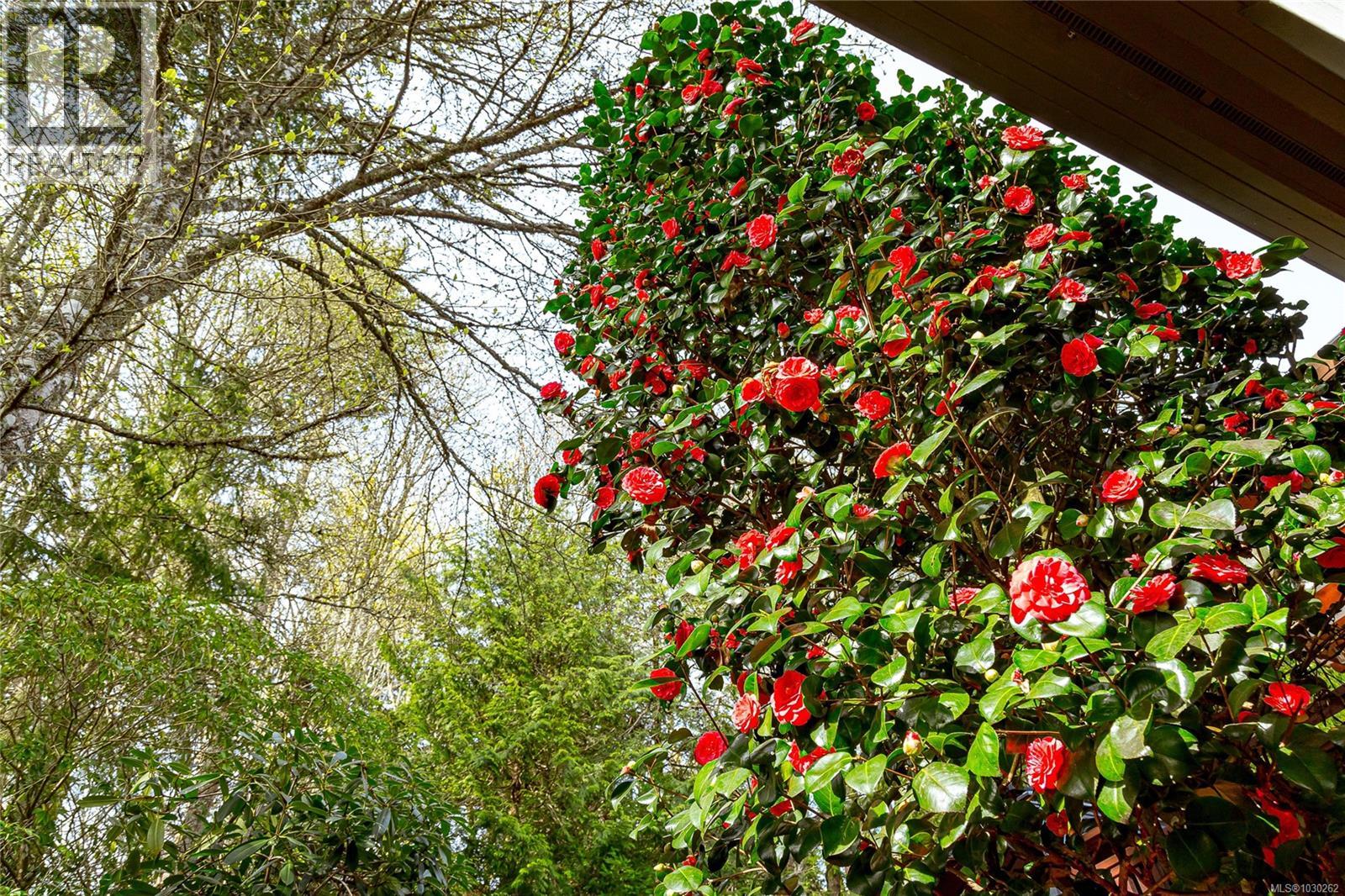  4816 Sea Ridge Drive, Saanich