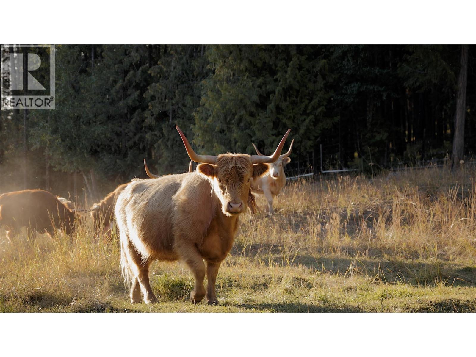 475 Bluenose Road, Coldstream