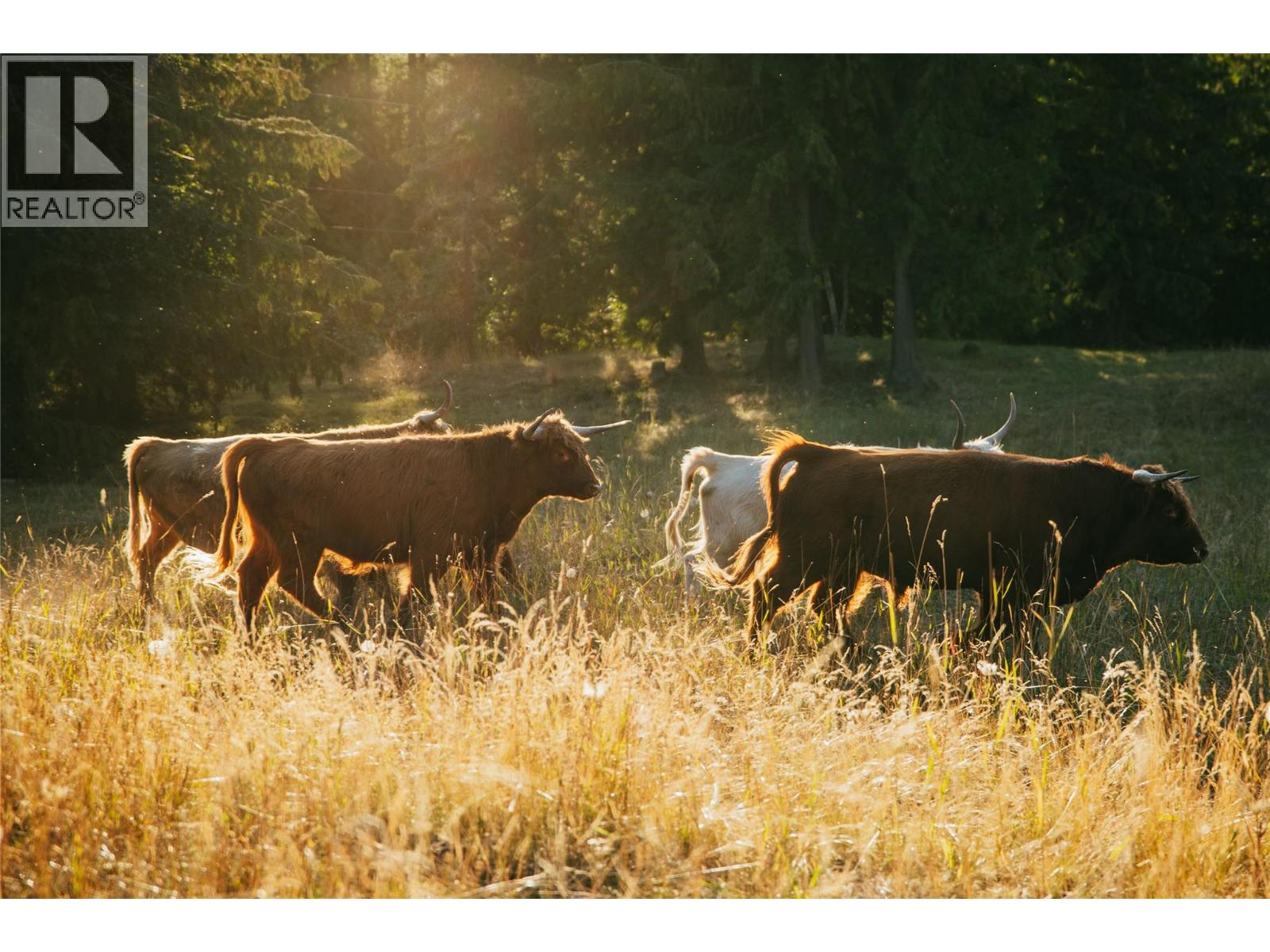 475 Bluenose Road, Coldstream