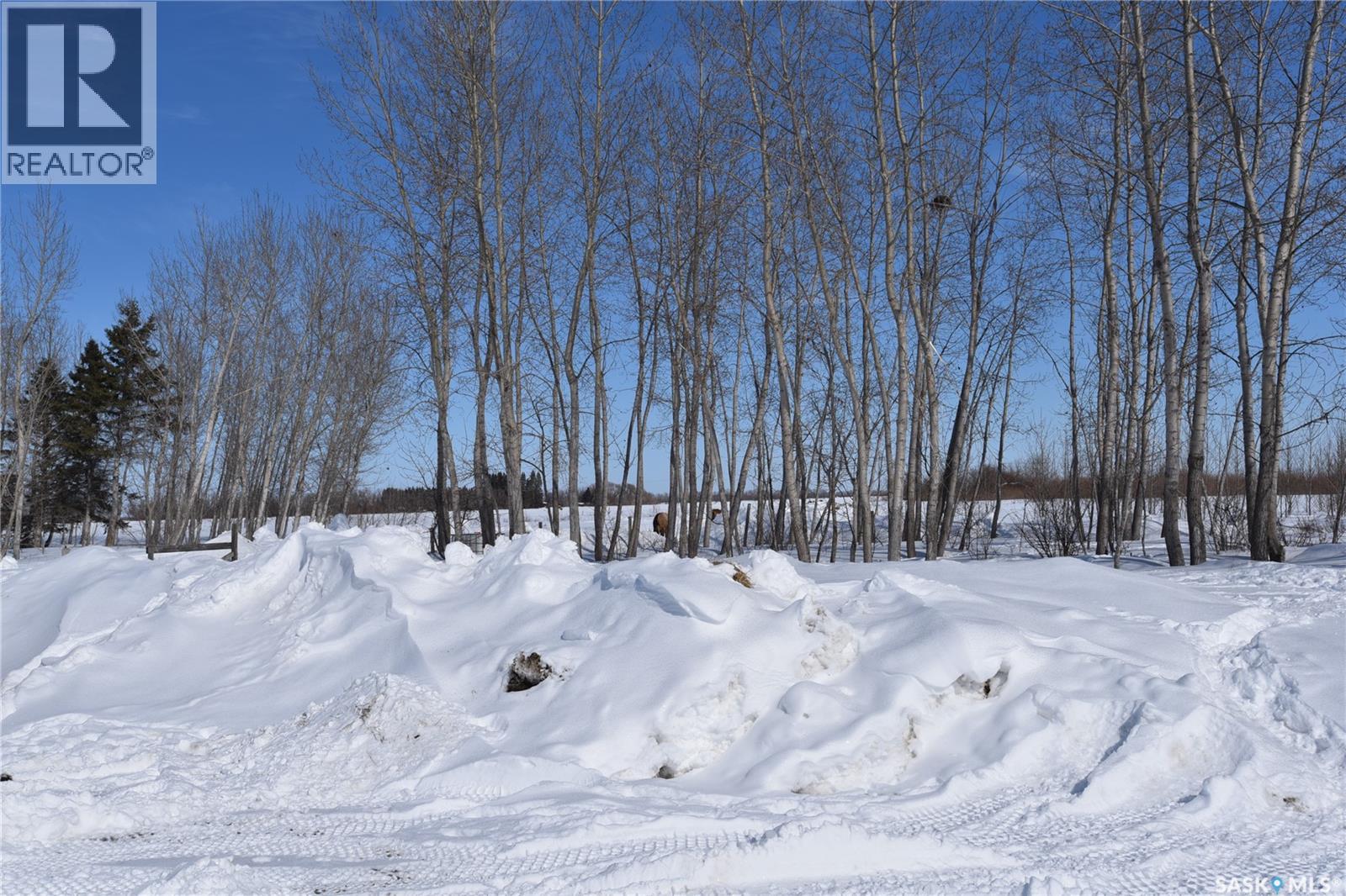 Saake Acreage — photo 33