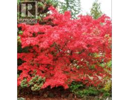 5904 Garvin Rd, Union Bay, BC V0R3B0 Photo 38