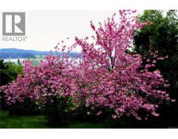 5904 Garvin Rd, Union Bay, BC V0R3B0 Photo 39