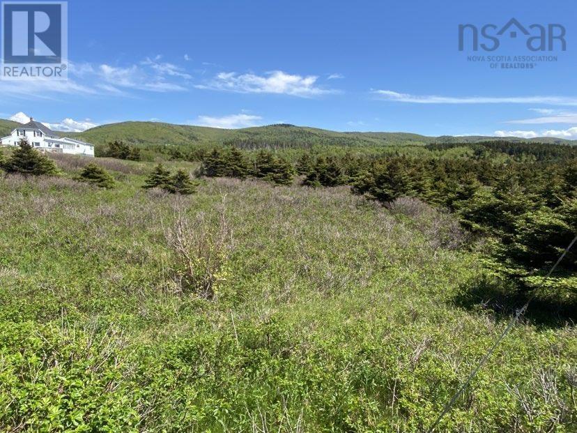 Property 4 of 9 of Cabot Trail