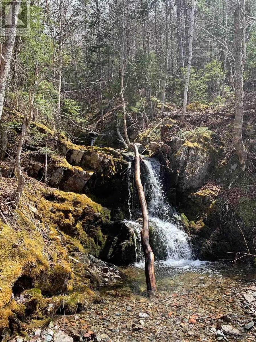 Property 43 of 46 of 47403 Cabot Trail