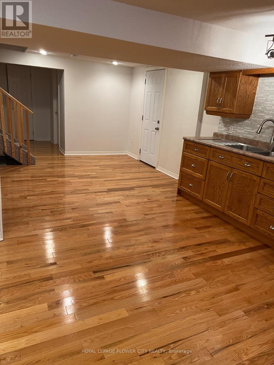 BASEMENT - 22 PERKINSFIELD STREET