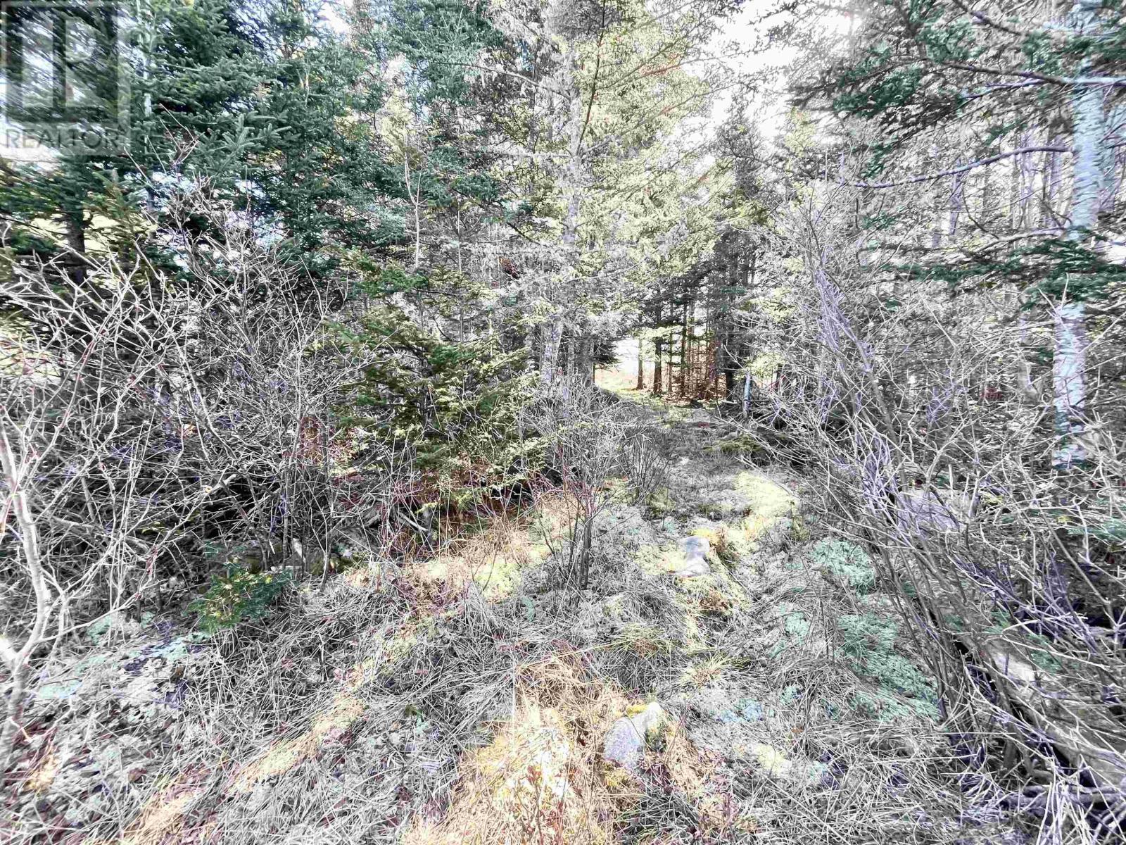 Property 12 of 15 of 46 Shag Harbour Station Road