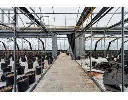 Greenhouse - 53825 Zion Road, Wainfleet, ON L0S1V0 Photo 15