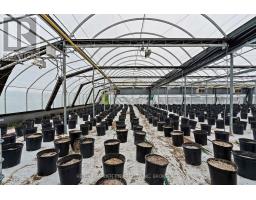 Greenhouse - 53825 Zion Road, Wainfleet, ON L0S1V0 Photo 9