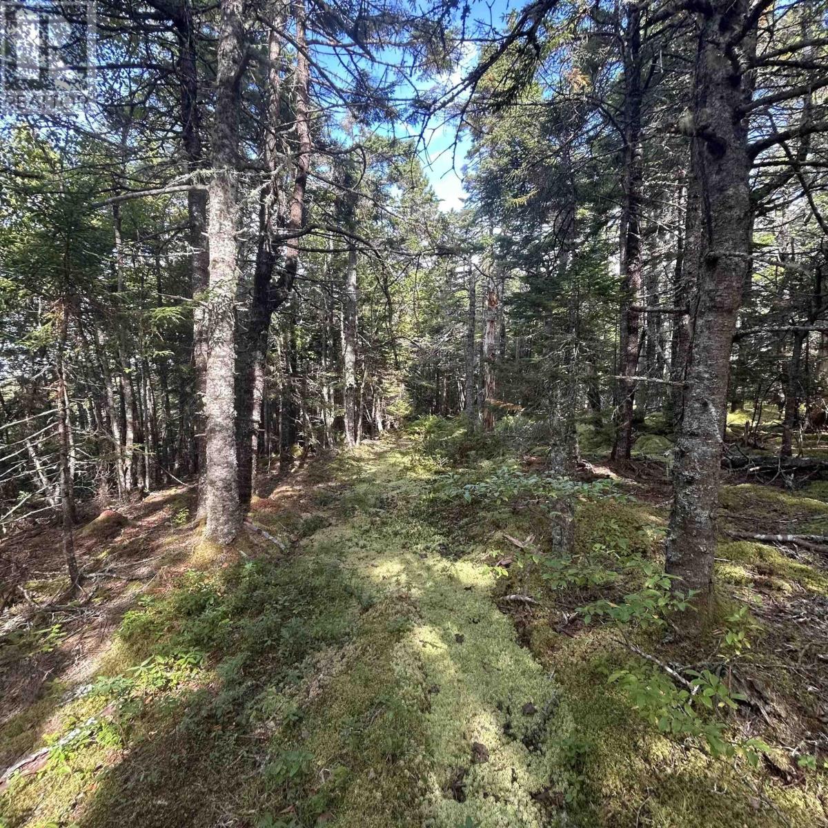 Property 3 of 10 of Lot 6-F-A Middle Road