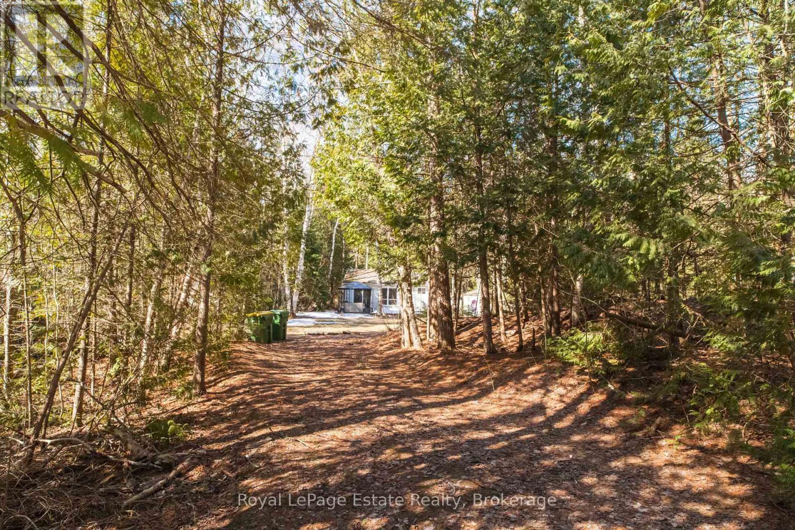 49 THOMPSON AVENUE - 1