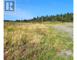 285 Maddox Cove Road thumbnail 4