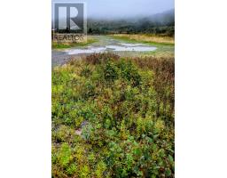 285 Maddox Cove Road thumbnail 8