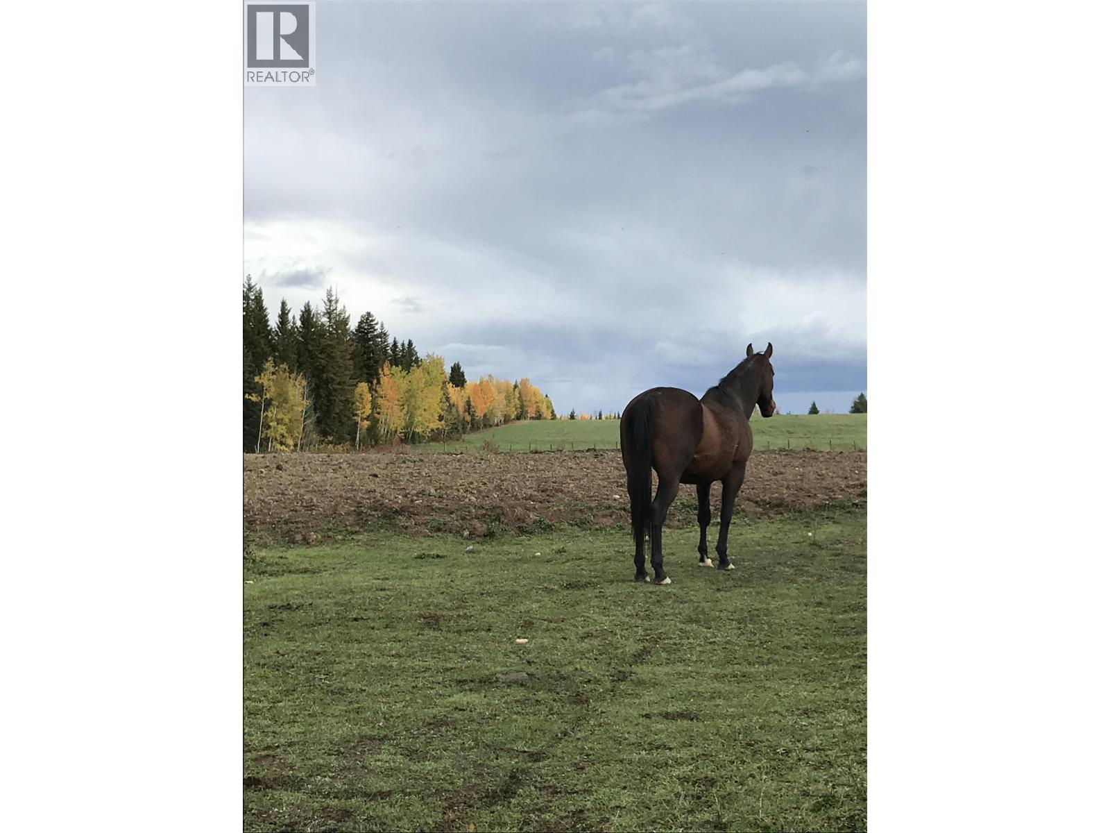 4950 QUESNEL-HIXON ROAD, Quesnel