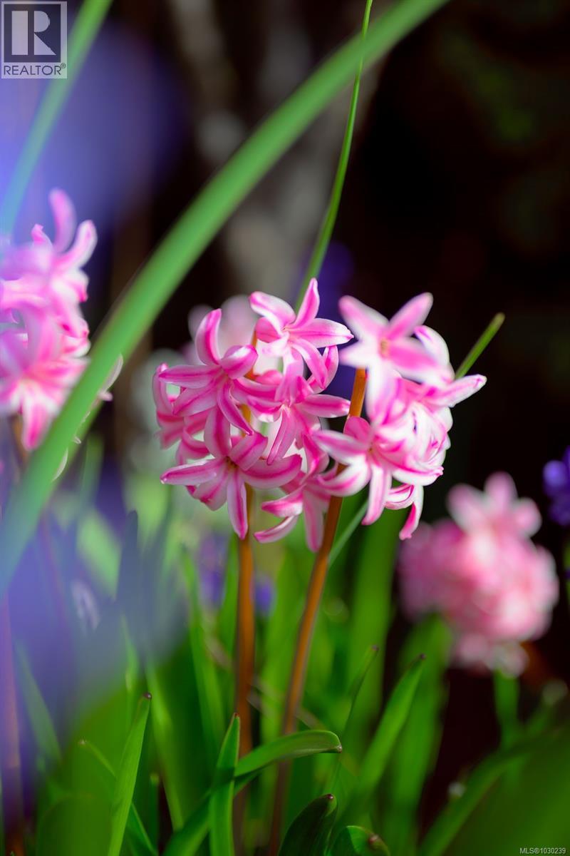 #116 1736 TIMBERLANDS RD - 22