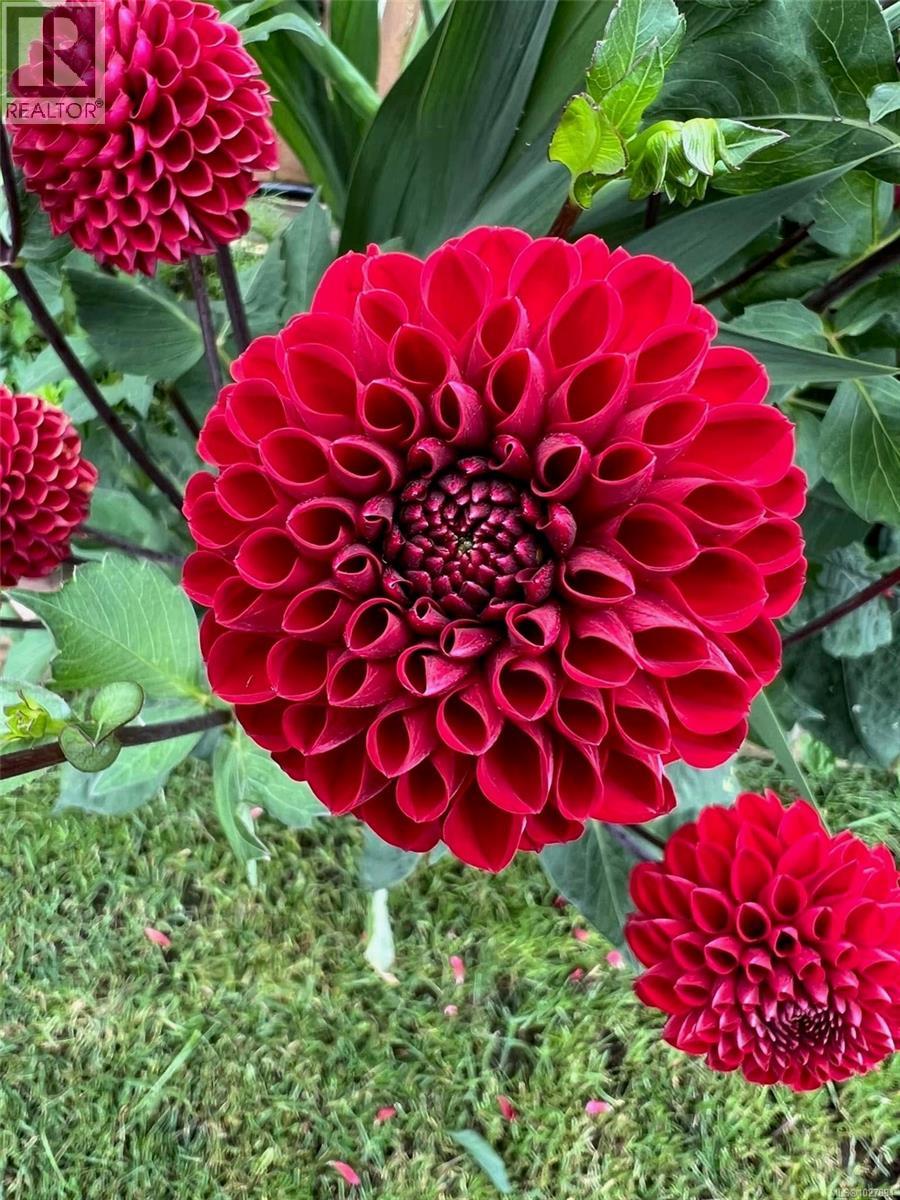 628 JOHN WILSON PL - 20