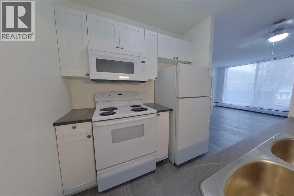 #104 13221 MACDONALD DRIVE - 8