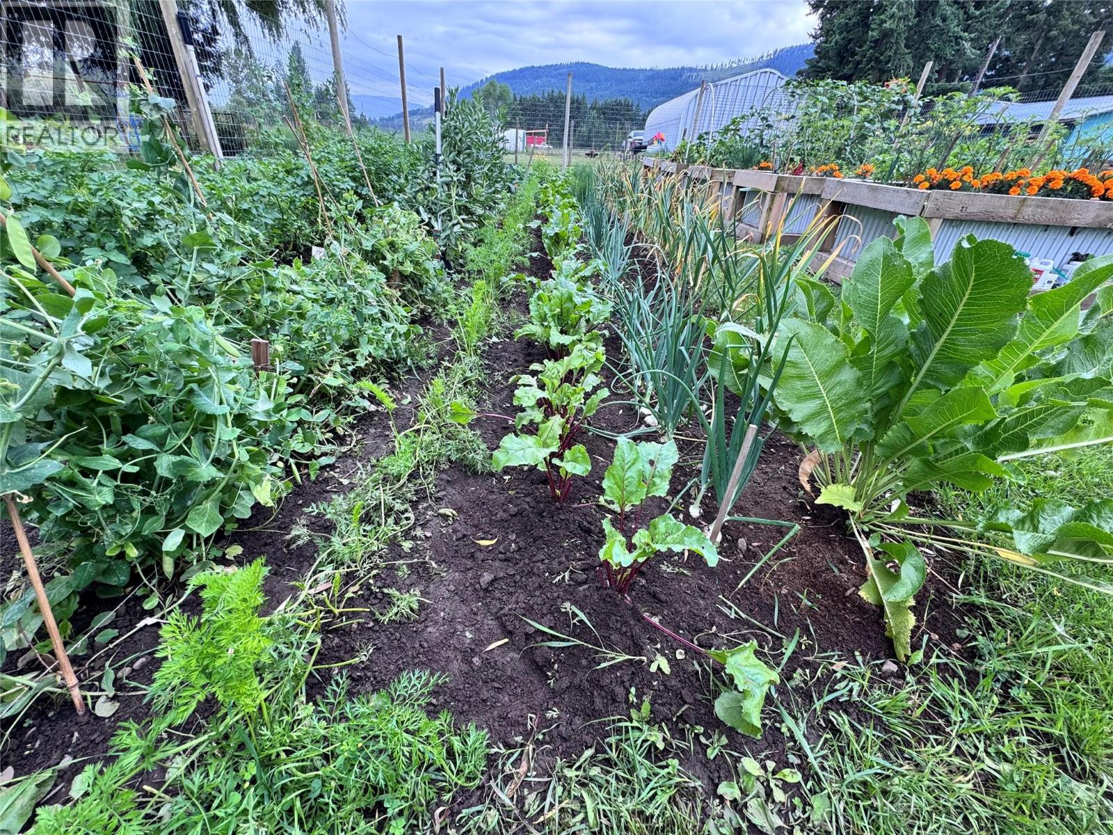  303 Lumby Mabel Lake Road, Lumby