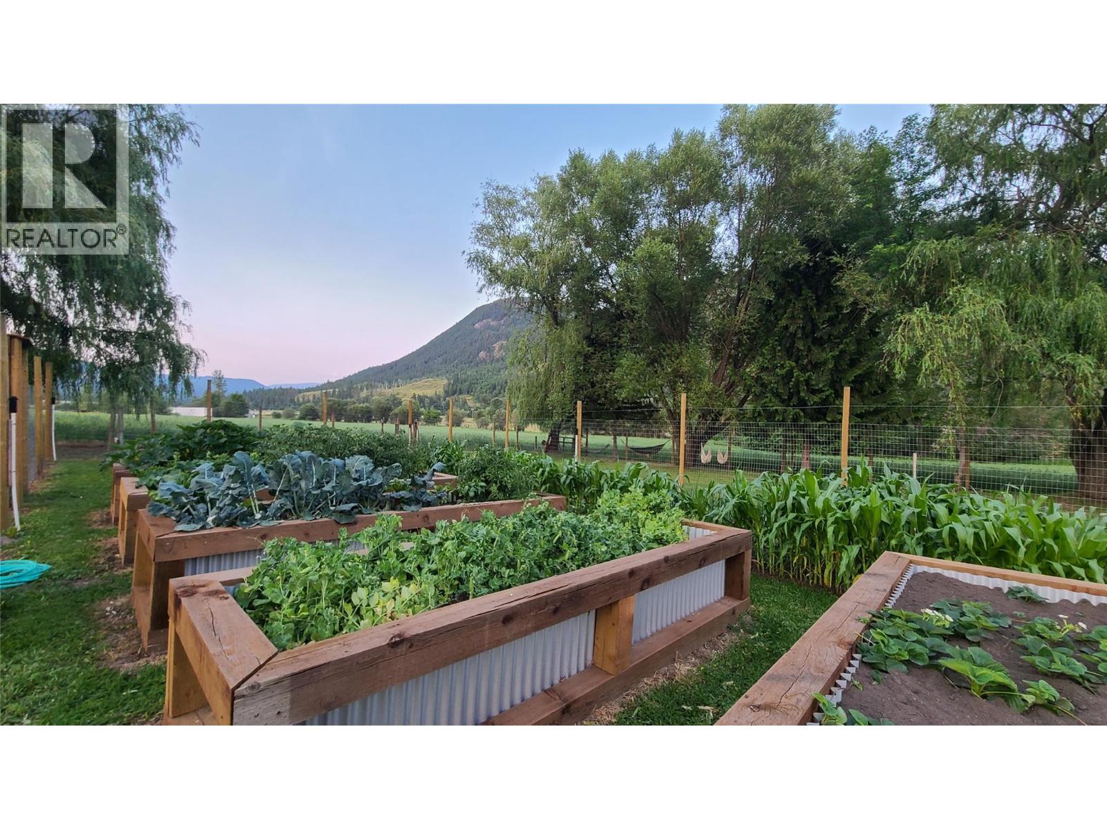303 Lumby Mabel Lake Road - 5