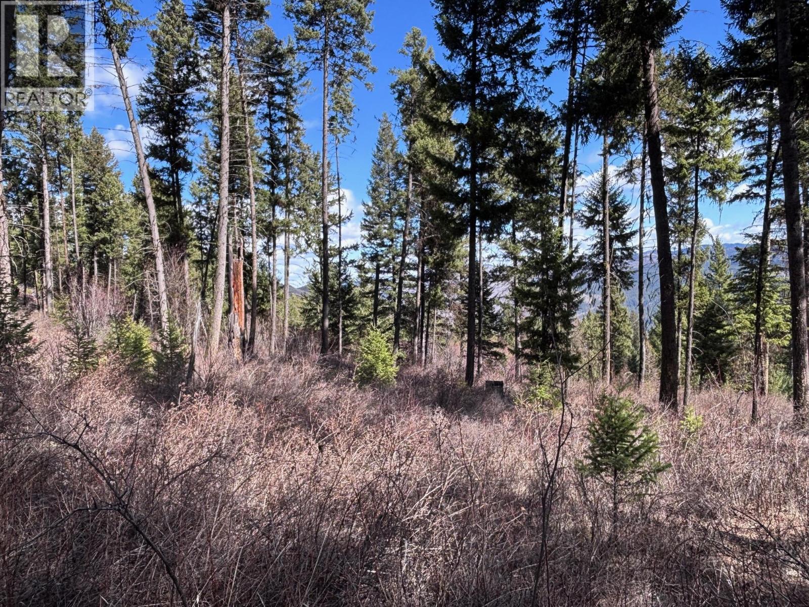  Lot 4 Hulme Creek Road, Rock Creek