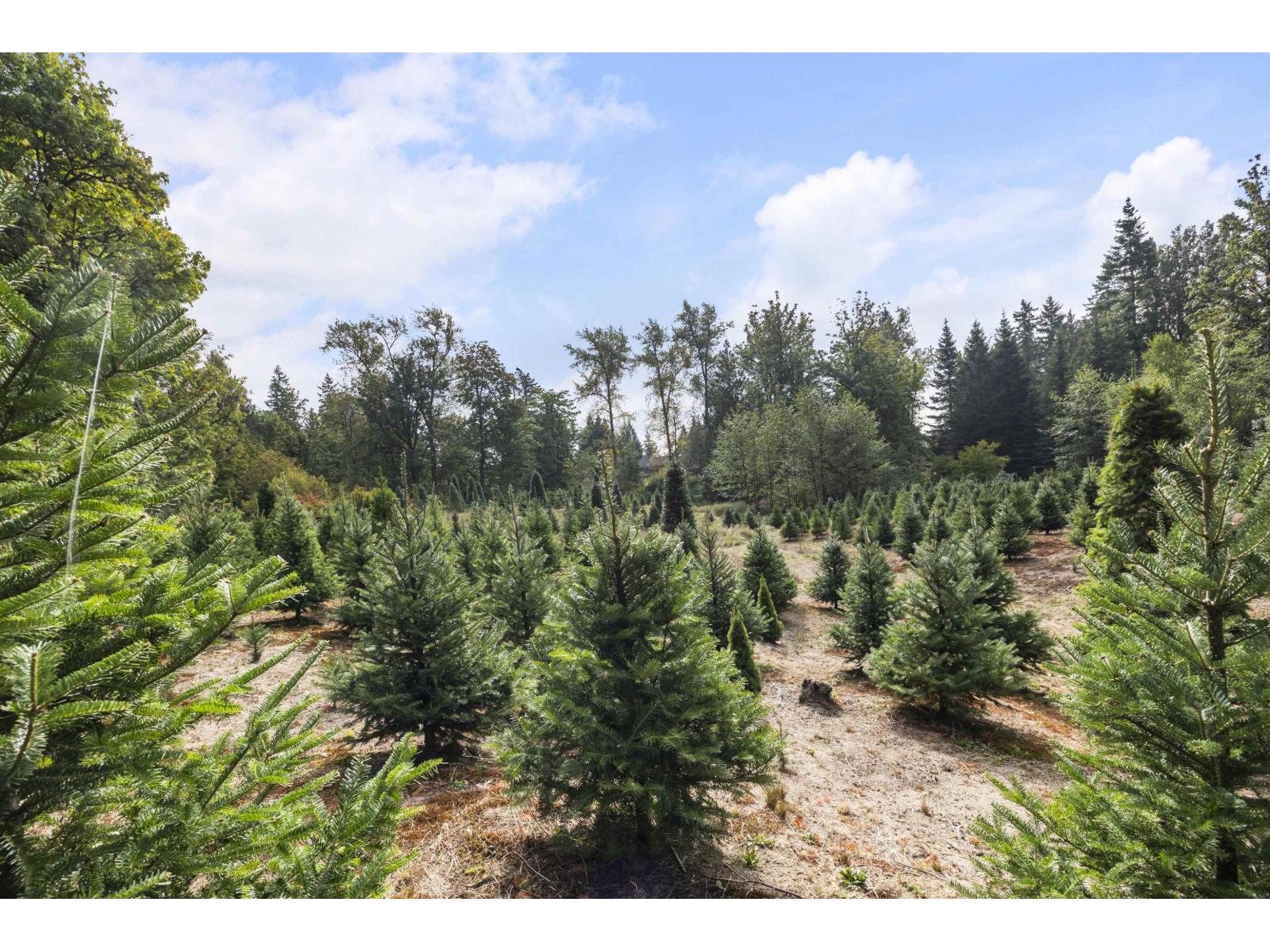 22441 79 AVENUE, Langley