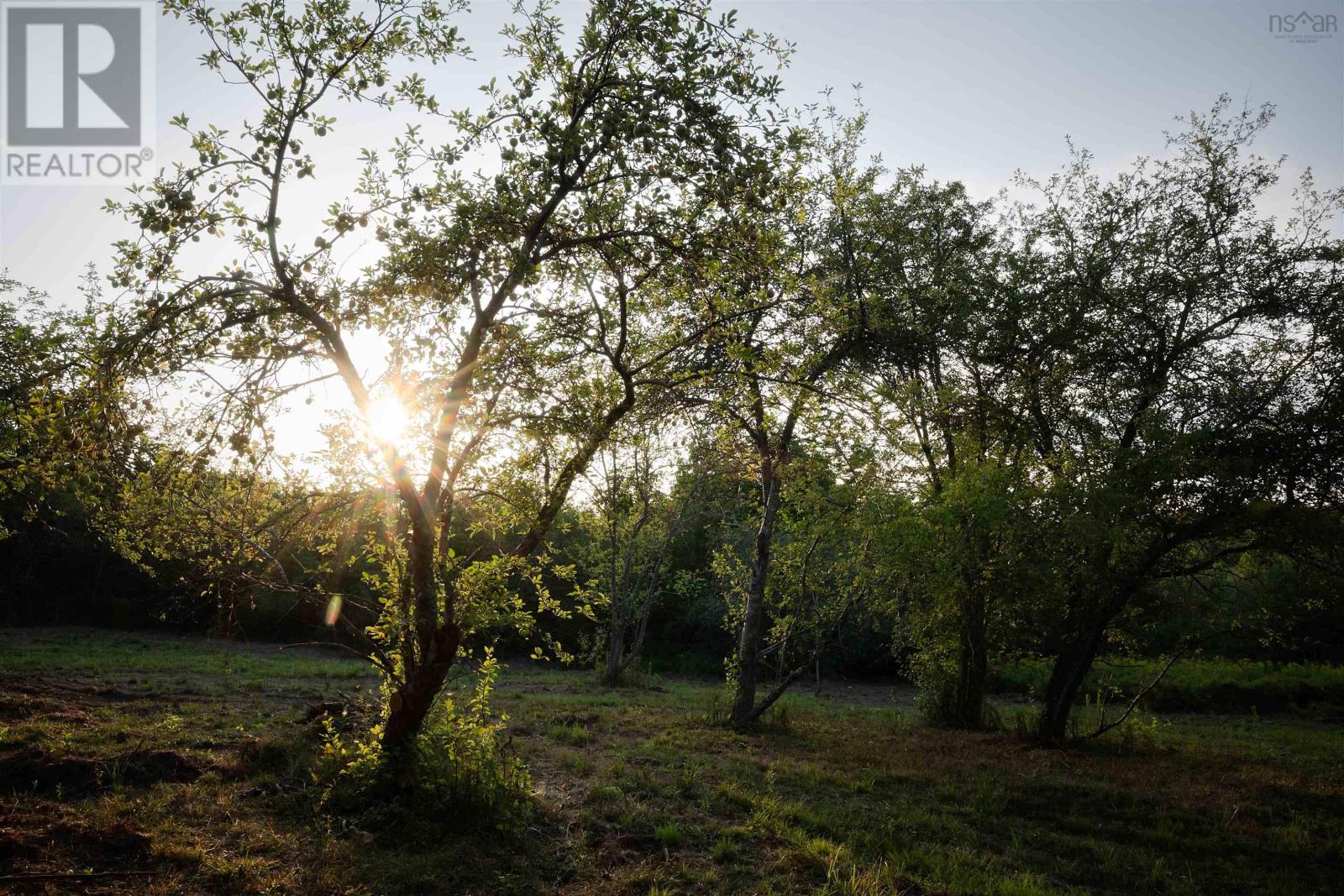 Property 45 of 48 of 800 BLUFF Road