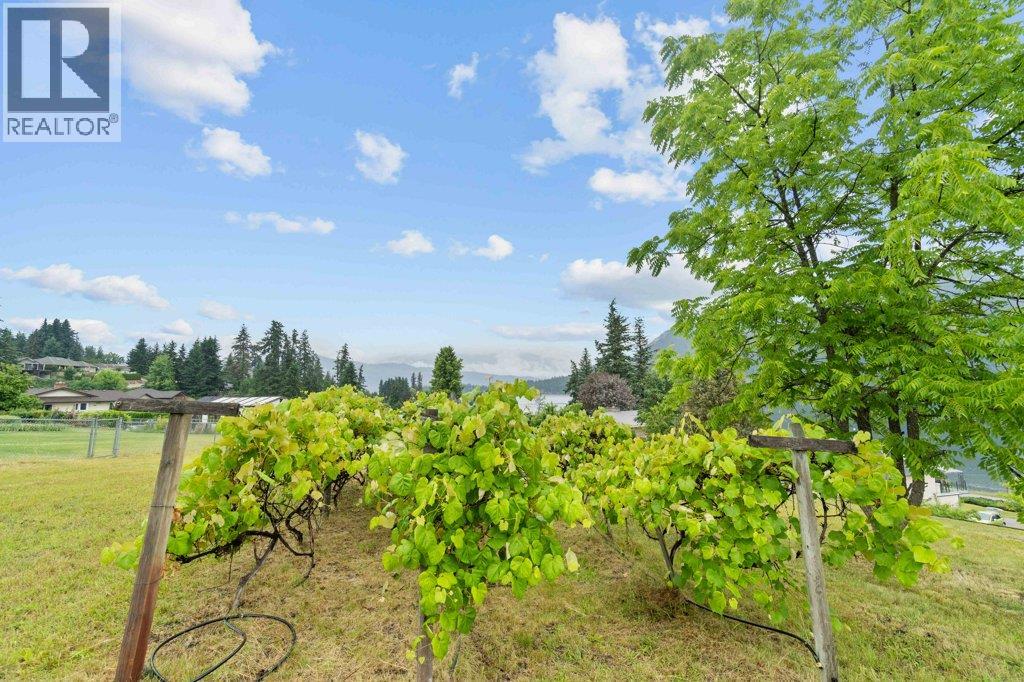 2504 Blind Bay Road - 90