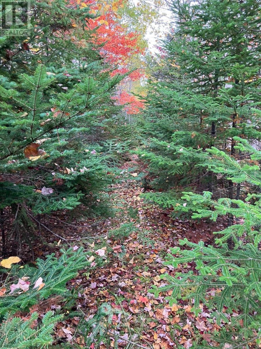 Property 5 of 17 of Pinevale Road