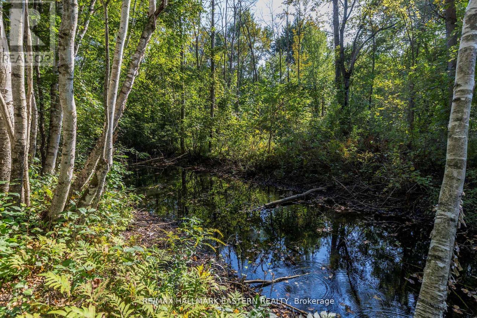 PT LT 13 CON 15 TRENT RIVER ROAD