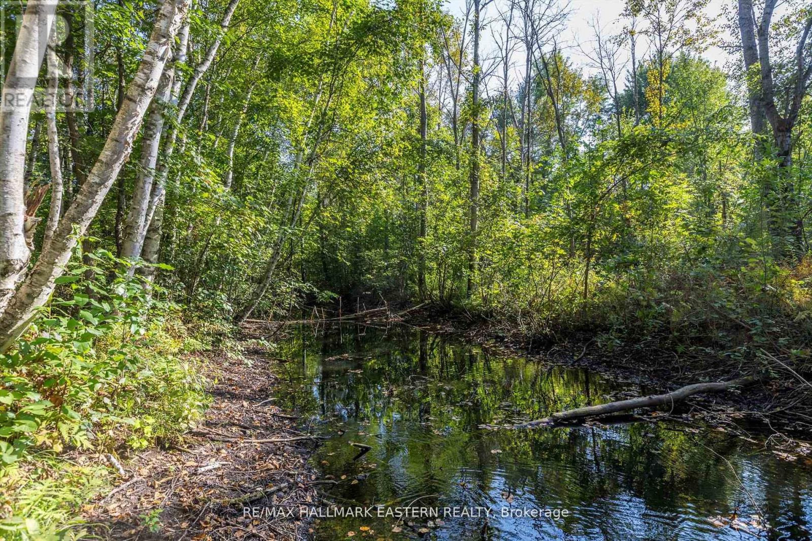 PT LT 13 CON 15 TRENT RIVER ROAD