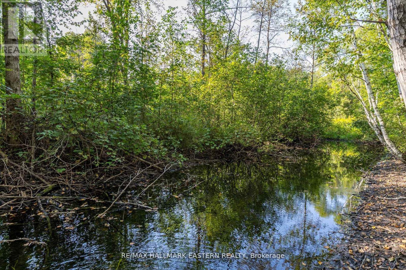 PT LT 13 CON 15 TRENT RIVER ROAD