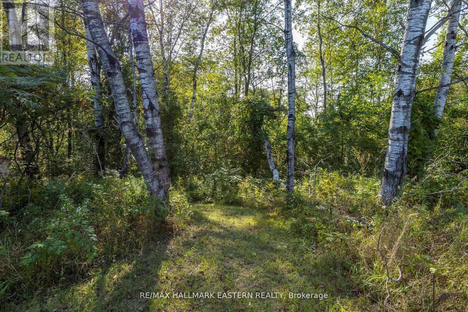 PT LT 13 CON 15 TRENT RIVER ROAD