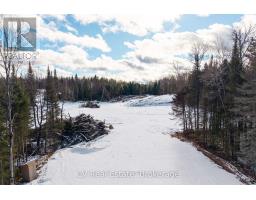 133 Berriedale Road, Armour, ON P0A1C0 Photo 16