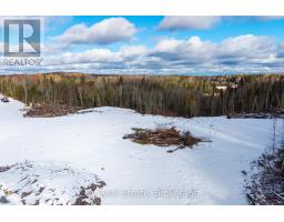 133 Berriedale Road, Armour, ON P0A1C0 Photo 29