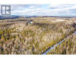 133 Berriedale Road, Armour, ON P0A1C0 Photo 27