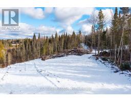 133 Berriedale Road, Armour, ON P0A1C0 Photo 32