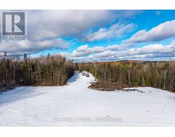 133 Berriedale Road, Armour, ON P0A1C0 Photo 35