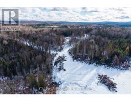 133 Berriedale Road, Armour, ON P0A1C0 Photo 18