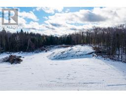 133 Berriedale Road, Armour, ON P0A1C0 Photo 24