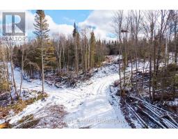 133 Berriedale Road, Armour, ON P0A1C0 Photo 34