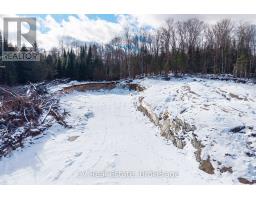 133 Berriedale Road, Armour, ON P0A1C0 Photo 36