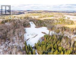 133 Berriedale Road, Armour, ON P0A1C0 Photo 9