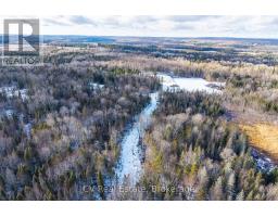133 Berriedale Road, Armour, ON P0A1C0 Photo 26