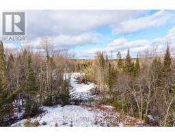 133 Berriedale Road, Armour, ON P0A1C0 Photo 19
