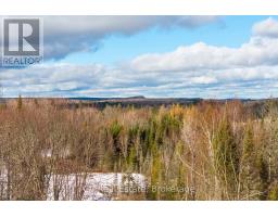 133 Berriedale Road, Armour, ON P0A1C0 Photo 31